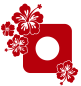 Preview: Steckdosen-Wandtattoo Hibiskusblüten