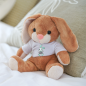 Preview: Stofftier, Kuscheltier Hase mit personalisiertem Mini Tshirt Motiv Häschen mit Wunschnamen, blau oder rosa