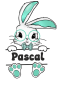 Preview: Stofftier, Kuscheltier Hase mit personalisiertem Mini Tshirt Motiv Häschen mit Wunschnamen, blau oder rosa
