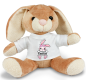 Preview: Stofftier, Kuscheltier Hase mit personalisiertem Mini Tshirt Motiv Häschen mit Wunschnamen, blau oder rosa