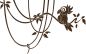 Preview: Wandtattoo Papagei mit Lianen