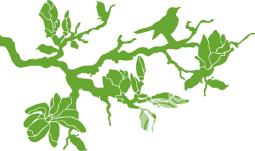 Preview: Wandtattoo Magnolienast