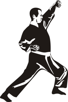 Preview: Wandtattoo Kampfsportler