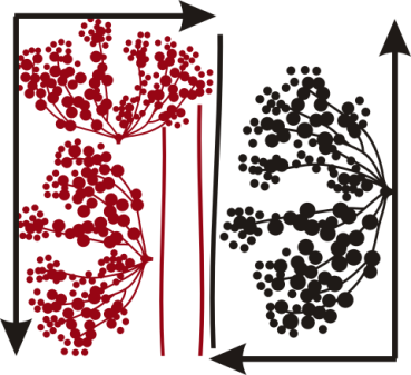 2 Farben Wandtattoo Dill