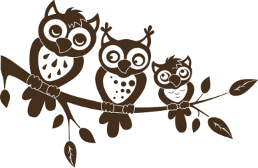 Preview: Wandtattoo Eulenfamilie auf dem Ast