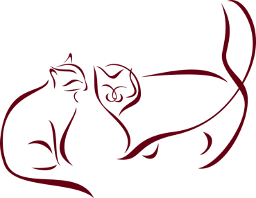 Preview: Wandtattoo Katzen