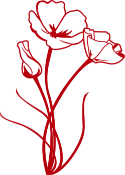 Wandtattoo Mohnblume