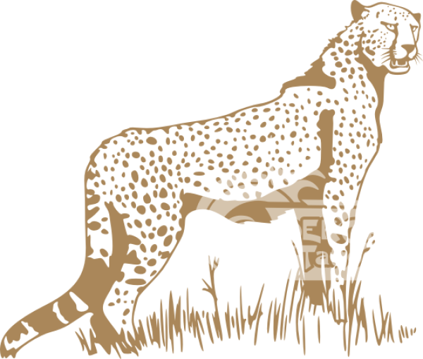 Wandtattoo Der wachsame Gepard