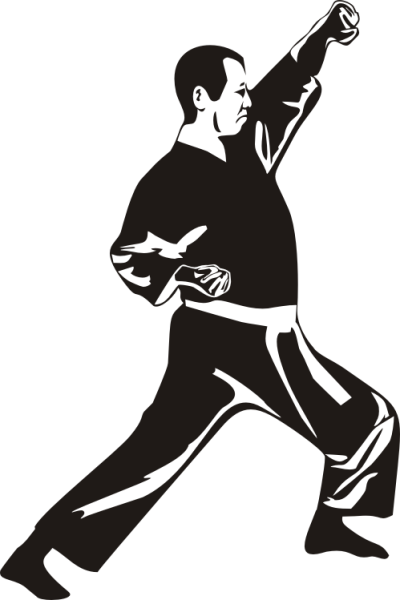 Wandtattoo Kampfsportler