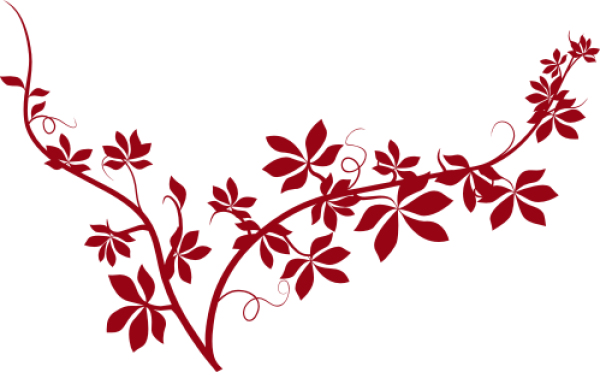 Wandtattoo Efeuzweig