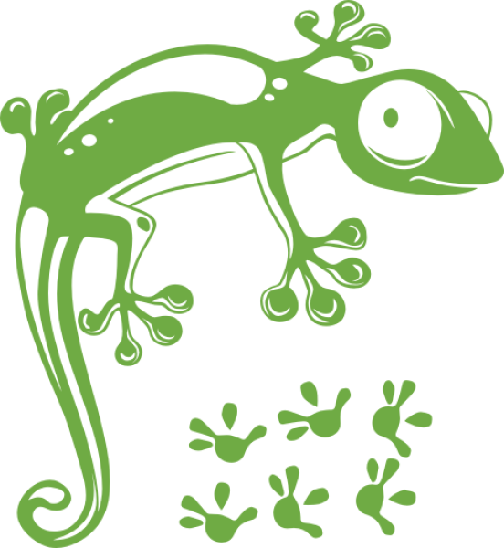 Wandtattoo Gecko