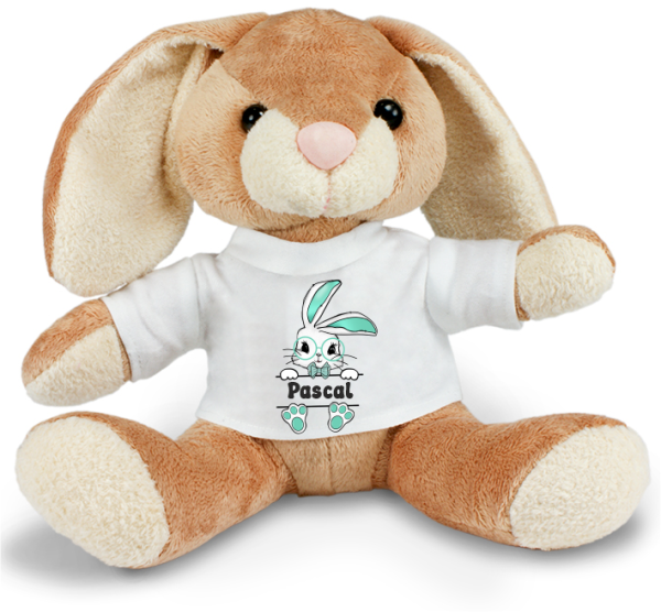 Stofftier, Kuscheltier Hase mit personalisiertem Mini Tshirt Motiv Häschen mit Wunschnamen, blau oder rosa
